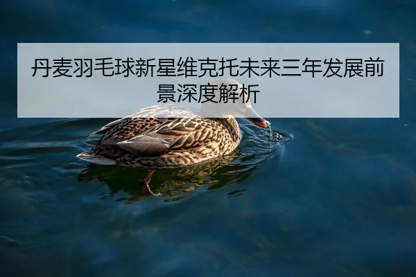 丹麦羽毛球新星维克托未来三年发展前景深度解析